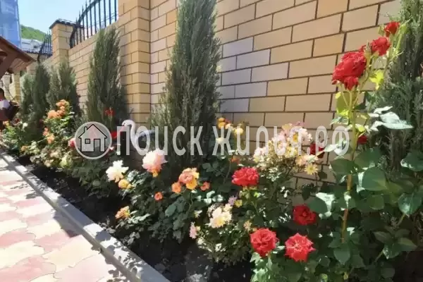 «Натела», Сукко «Натела», Сукко