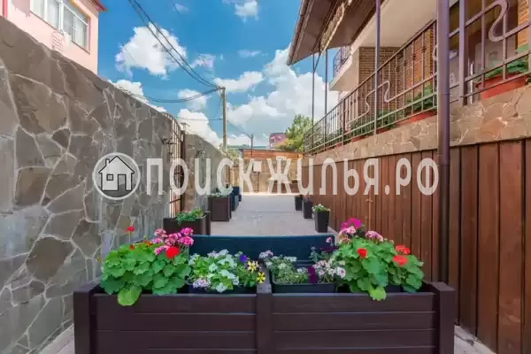 «Brown», Джемете «Brown», Джемете