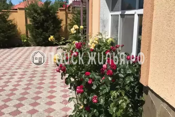 Частный сектор «Частный дом Райский отдых», Оленевка