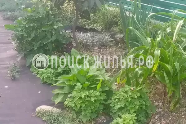 «На Магистральной», Чемитоквадже «На Магистральной», Чемитоквадже