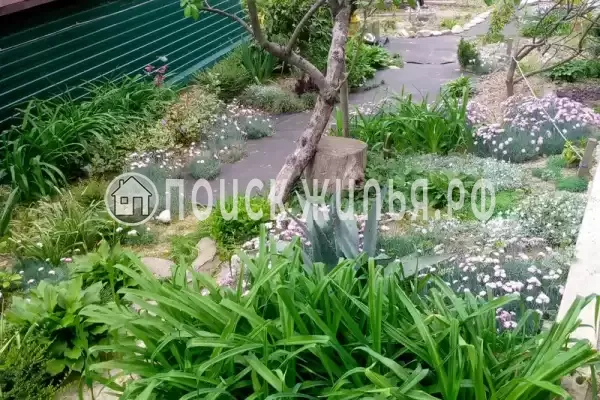 «На Магистральной», Чемитоквадже «На Магистральной», Чемитоквадже