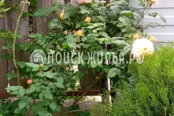 «На Магистральной», Чемитоквадже «На Магистральной», Чемитоквадже