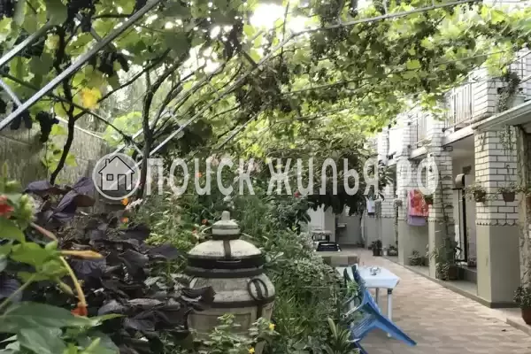 «Марина», Лазаревское «Марина», Лазаревское