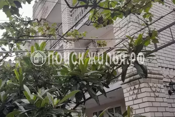 «Марина», Лазаревское «Марина», Лазаревское