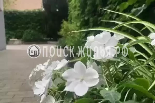 Частный сектор «Вилла Villa-Flora», Кабардинка Частный сектор «Вилла Villa-Flora», Кабардинка