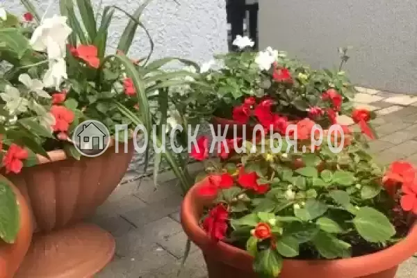 Частный сектор «Вилла Villa-Flora», Кабардинка Частный сектор «Вилла Villa-Flora», Кабардинка