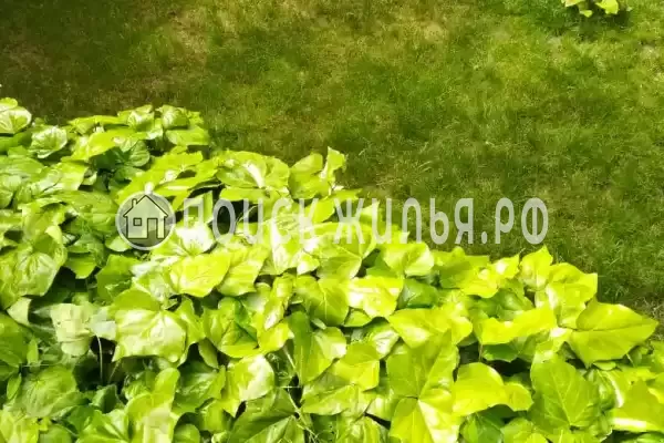 Частный сектор «На Звёздной», Геленджик Частный сектор «На Звёздной», Геленджик