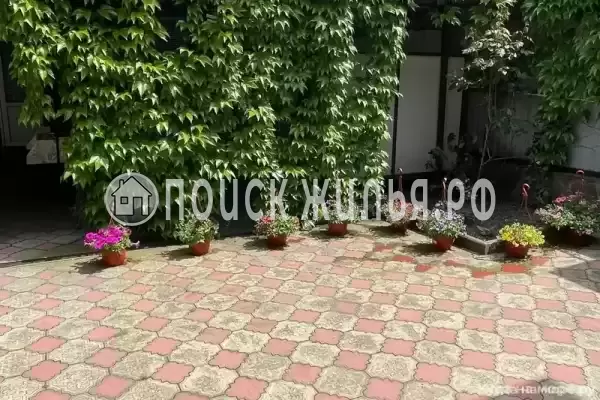 «Аннушка», Ольгинка «Аннушка», Ольгинка