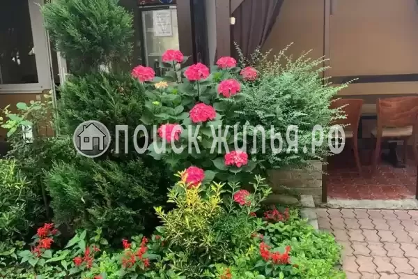 «У Ирина», Адлер «У Ирина», Адлер