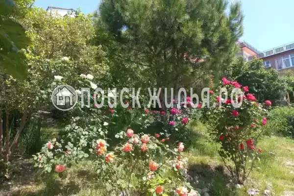 «На Победе», Лазаревское