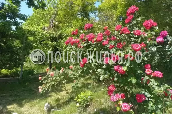 «На Победе», Лазаревское