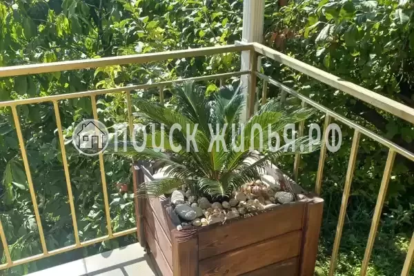 «На Победе», Лазаревское