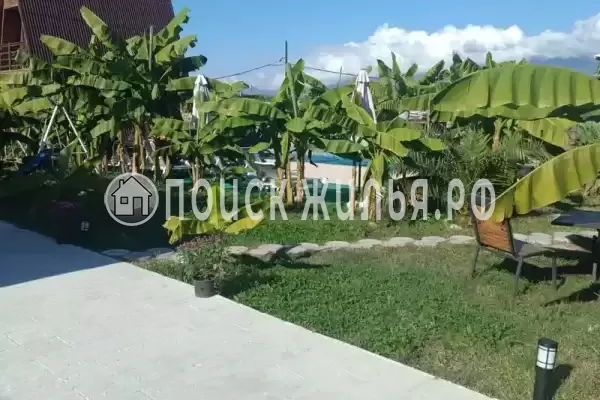 Частный сектор «Оазис», Пицунда