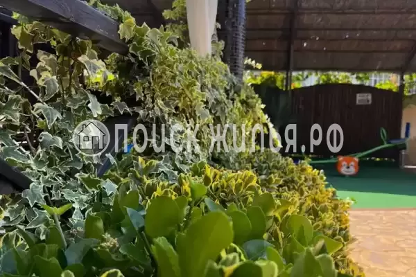 «Oasis», Кабардинка