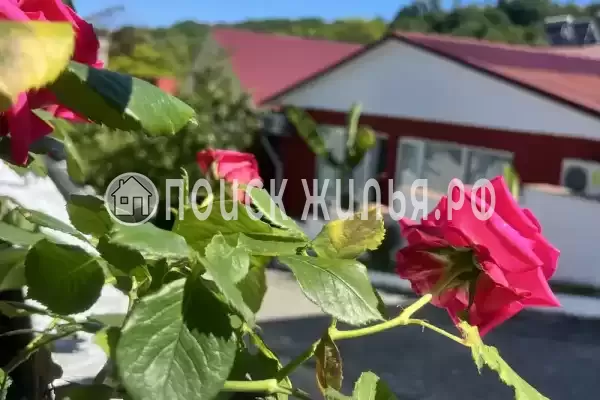 Частный сектор «Баунти», Краснодарский край, Сочи, Вардане, Фруктовая, д.18/23 Частный сектор «Баунти», Краснодарский край, Сочи, Вардане, Фруктовая, д.18/23