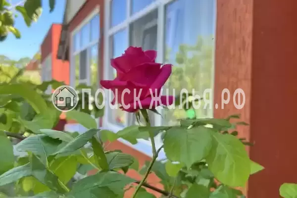 Частный сектор «Баунти», Вардане Частный сектор «Баунти», Вардане