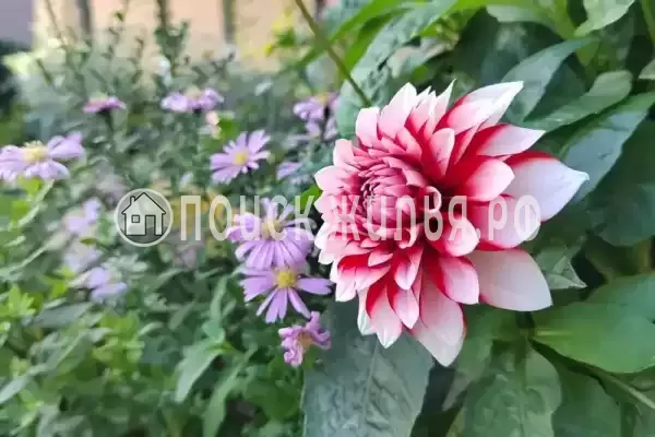 Частный сектор «Малиновая, 10», Севастополь