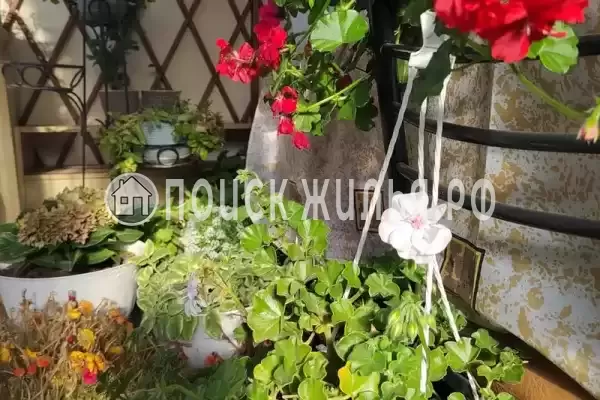 Частный сектор «Малиновая, 10», Севастополь