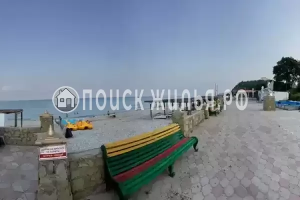 «Дельфин», Шепси «Дельфин», Шепси