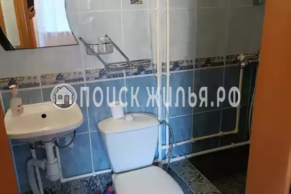 «Дельфин», Шепси «Дельфин», Шепси