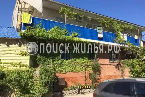 «Дельфин», Шепси «Дельфин», Шепси