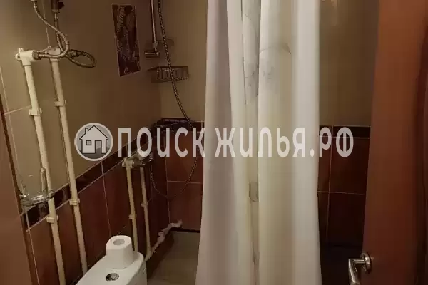 «Дельфин», Шепси «Дельфин», Шепси