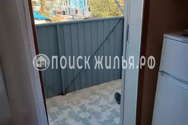 «Дельфин», Шепси «Дельфин», Шепси