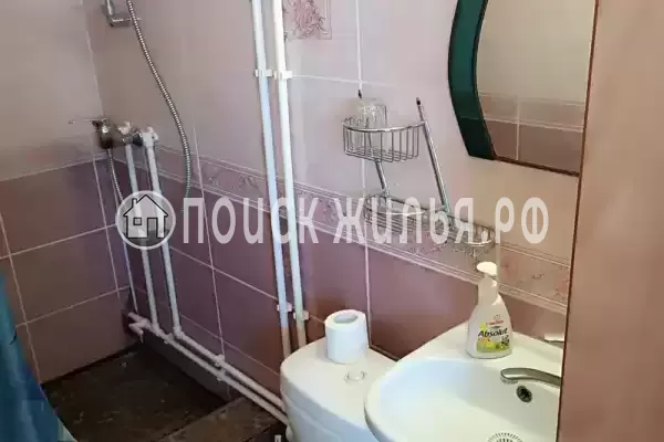 «Дельфин», Шепси «Дельфин», Шепси