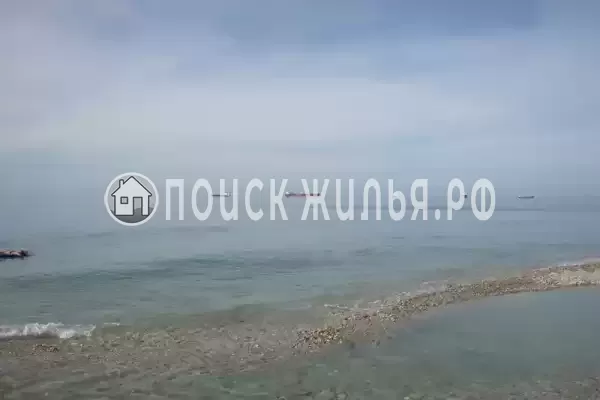 «Дельфин», Шепси «Дельфин», Шепси