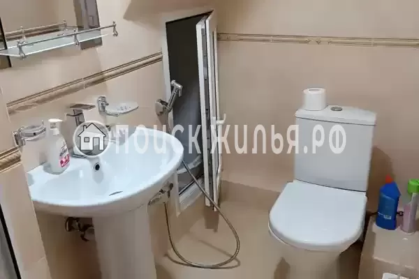 «Дельфин», Шепси «Дельфин», Шепси