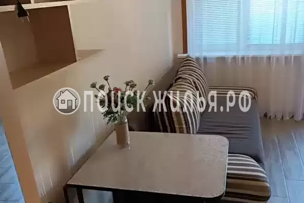 «Дельфин», Шепси «Дельфин», Шепси