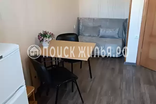 «Дельфин», Шепси «Дельфин», Шепси