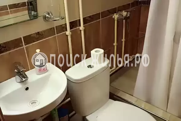 «Дельфин», Шепси «Дельфин», Шепси