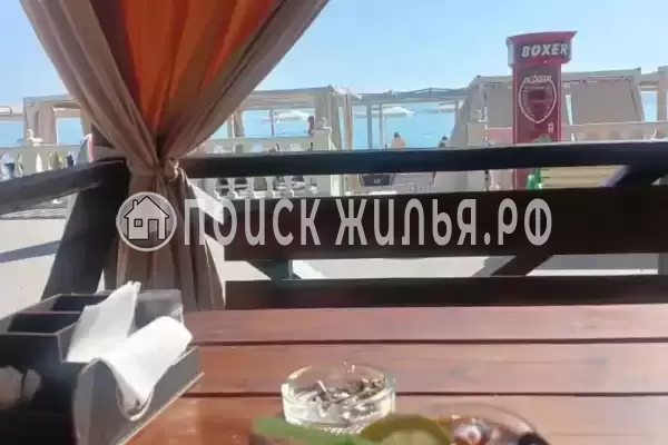 «Дельфин», Шепси «Дельфин», Шепси