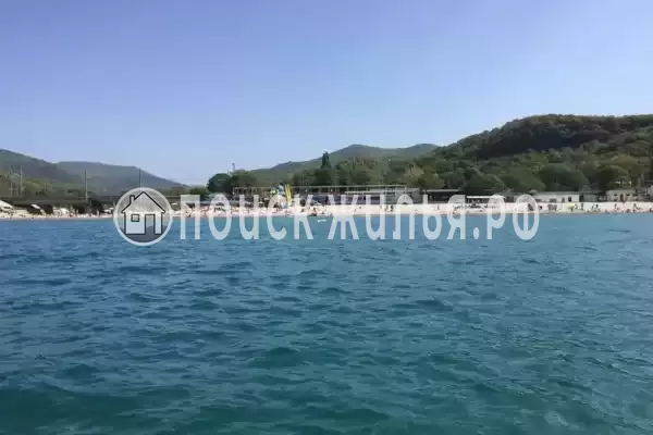 «Дельфин», Шепси «Дельфин», Шепси