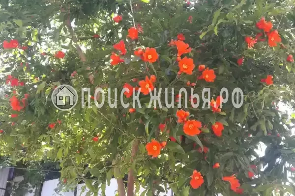 «Sun-City», Лазаревское «Sun-City», Лазаревское