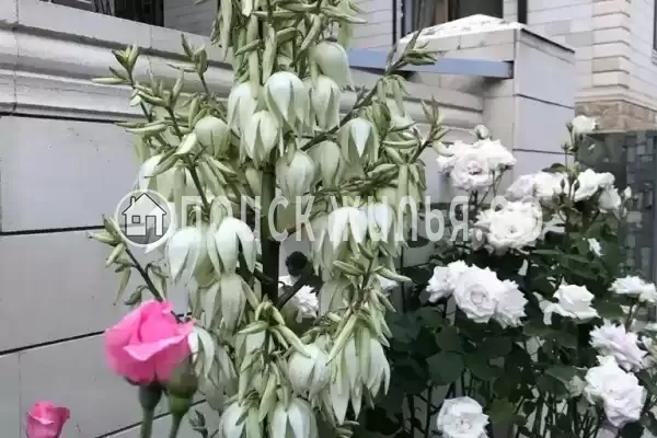 Частный сектор «Частный дом на Короленко», Геленджик Частный сектор «Частный дом на Короленко», Геленджик