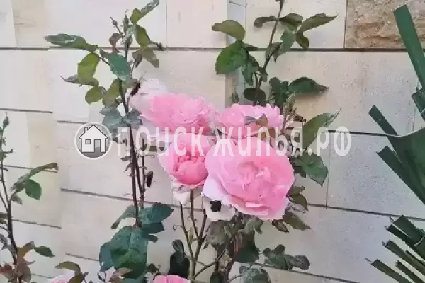 Частный сектор «Частный дом на Короленко», Геленджик Частный сектор «Частный дом на Короленко», Геленджик