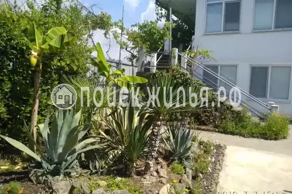 Гостевой дом «Бриз», Гагра