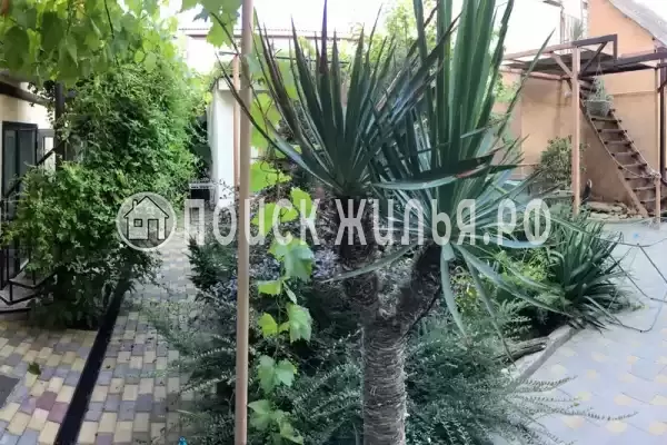 «В Районе Высокого Берега», Анапа