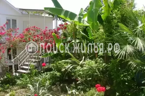 «Итинисан», Адлер