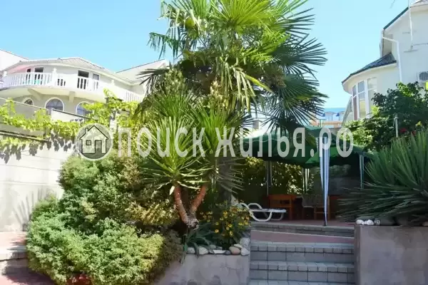 «Итинисан», Адлер