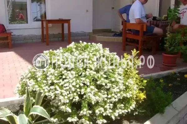 «Итинисан», Адлер