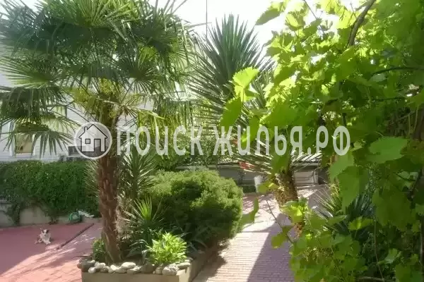 «Итинисан», Адлер