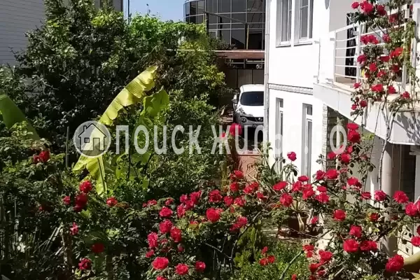 «Итинисан», Адлер