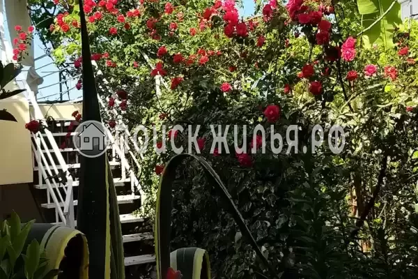 «Итинисан», Адлер