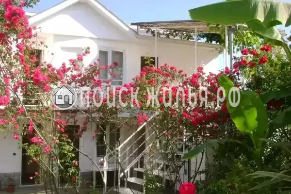 «Итинисан», Адлер