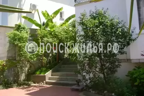 «Итинисан», Адлер