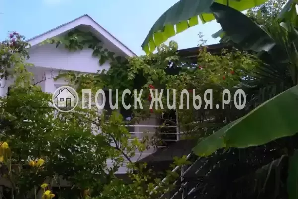 «Итинисан», Адлер