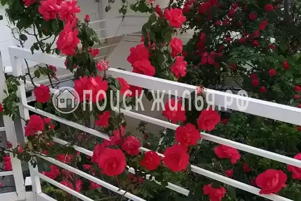 «Итинисан», Адлер